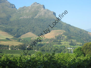 Landschaft 65